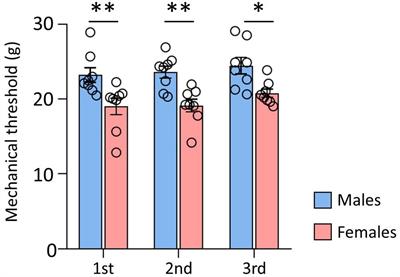 Diffusion tensor imaging reveals sex differences in pain sensitivity of rats